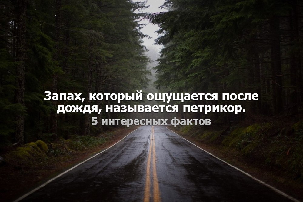 Дождь высказывание. После дождя фразы. Крылатые выражения про дождь. После дождя красивые цитаты. Высказывания о Дожде великих людей.